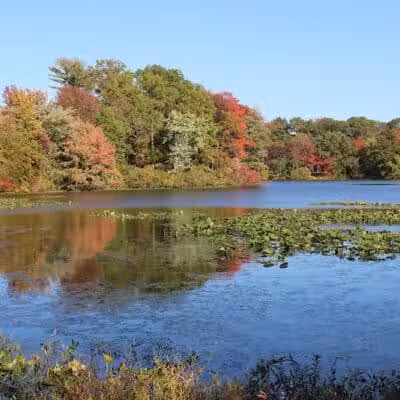 Etra Lake Park - East Windsor, NJ