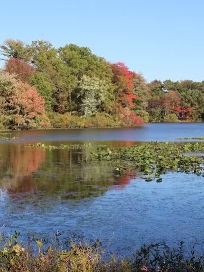 Etra Lake Park - East Windsor, NJ