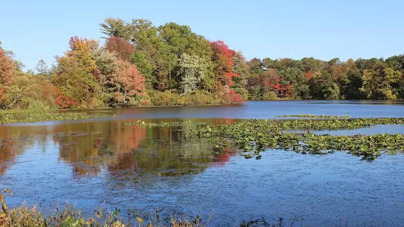Etra Lake Park - East Windsor, NJ