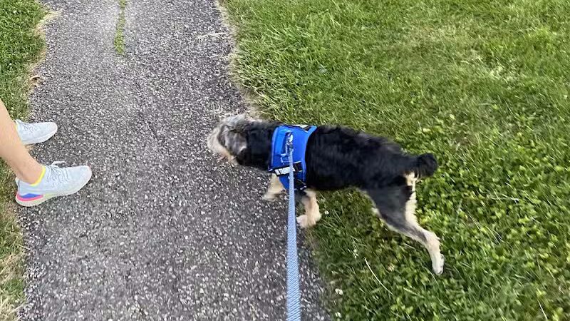 Woods Road Community Park - East Windsor, NJ