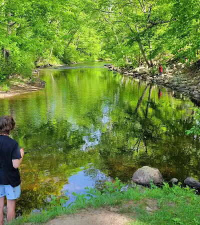 Charlie Brown Campground - Eastford, CT