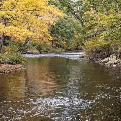 Charlie Brown Campground - Eastford, CT