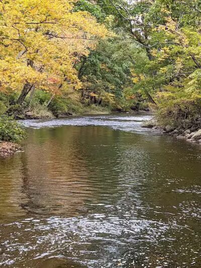 Charlie Brown Campground - Eastford, CT