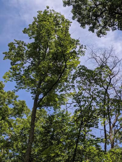 Frog Rock Seasonal Park - Eastford, CT