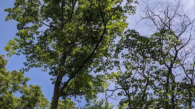 Frog Rock Seasonal Park - Eastford, CT