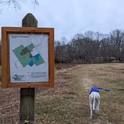 Randall's Farm Nature Preserve - Easton, CT