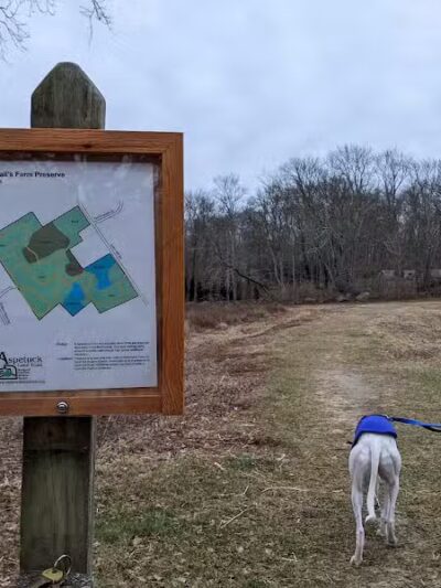 Randall's Farm Nature Preserve - Easton, CT