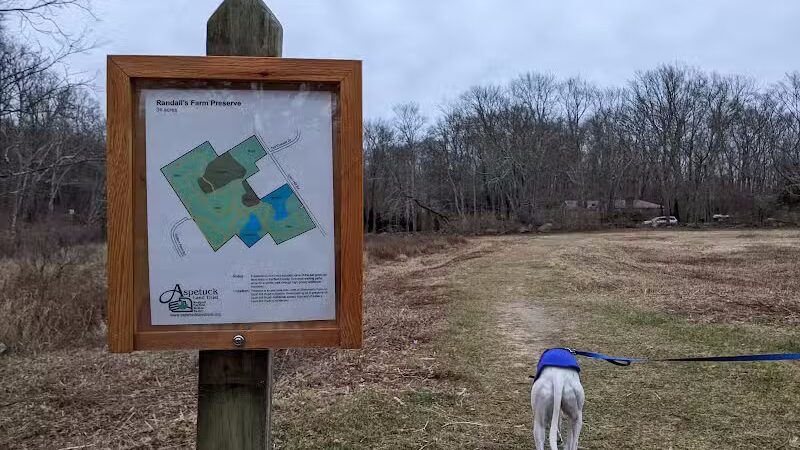 Randall's Farm Nature Preserve - Easton, CT