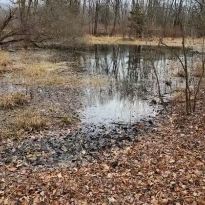 Randall's Farm Nature Preserve - Easton, CT