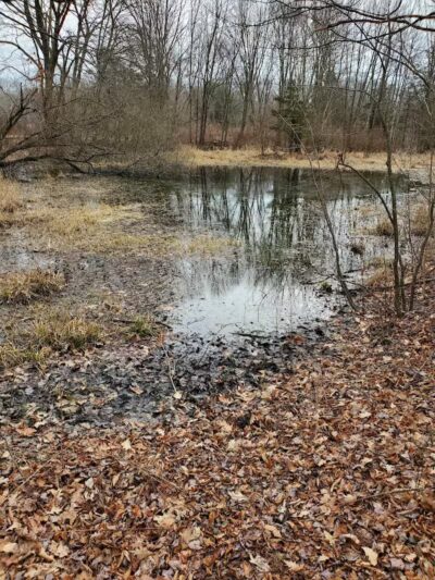 Randall's Farm Nature Preserve - Easton, CT