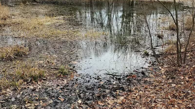 Randall's Farm Nature Preserve - Easton, CT