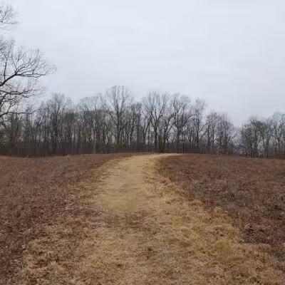 Randall's Farm Nature Preserve - Easton, CT