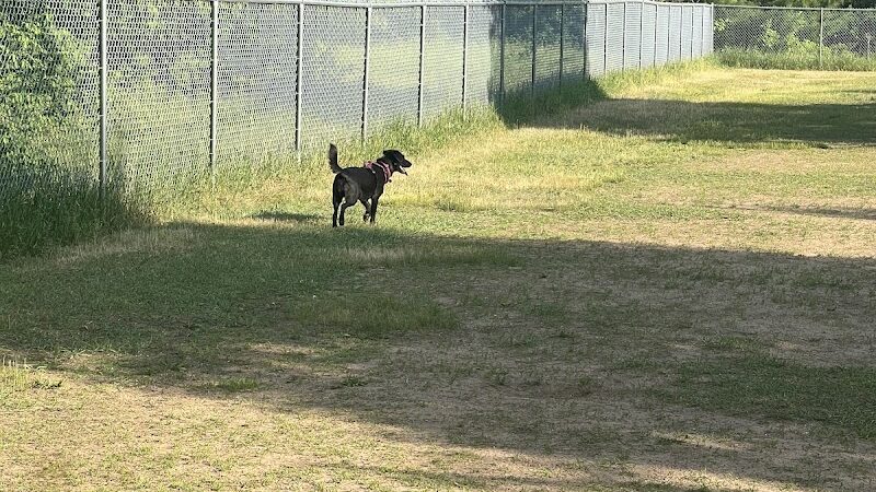 Otter Creek Off-Leash Dog Park - Eau Claire, WI