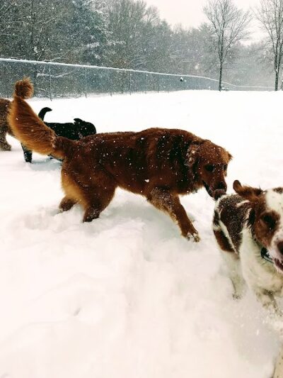 Otter Creek Off-Leash Dog Park - Eau Claire, WI