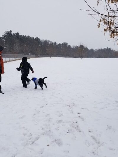 Otter Creek Off-Leash Dog Park - Eau Claire, WI
