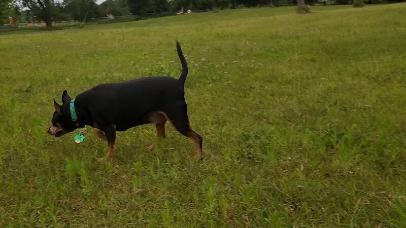 Otter Creek Off-Leash Dog Park - Eau Claire, WI
