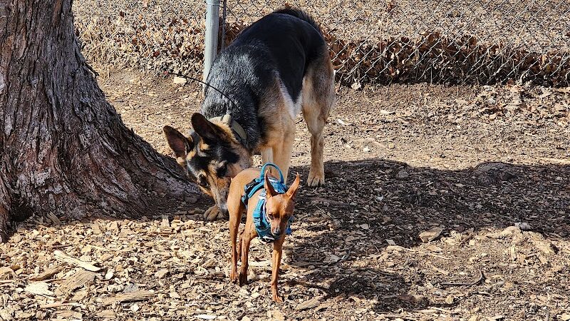 Otter Creek Off-Leash Dog Park - Eau Claire, WI