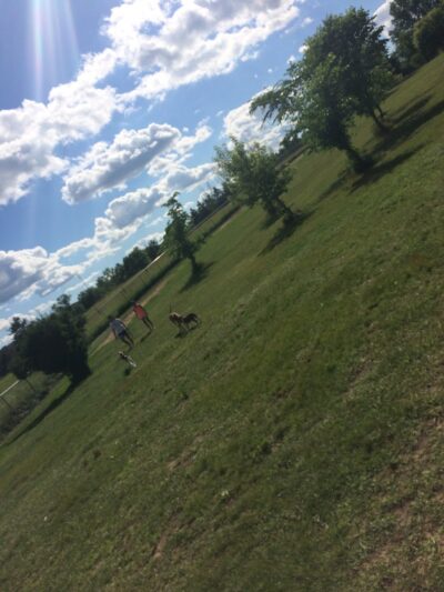 Otter Creek Off-Leash Dog Park - Eau Claire, WI
