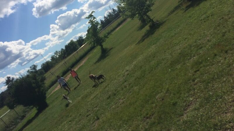 Otter Creek Off-Leash Dog Park - Eau Claire, WI