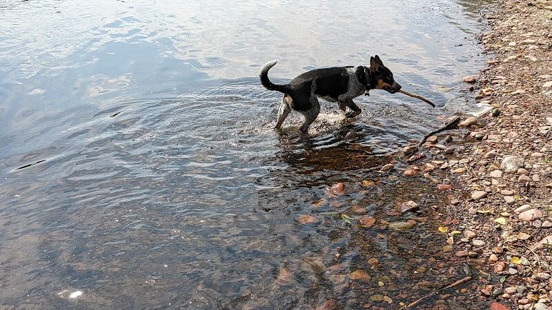 Southwest Dog Park - Eau Claire, WI