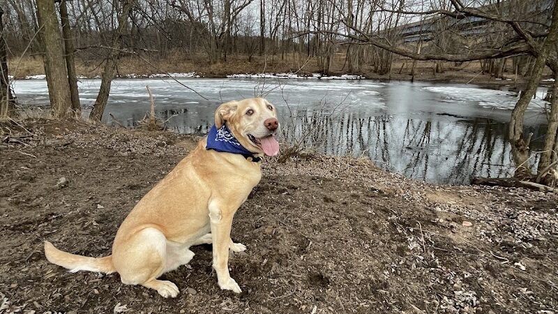 Southwest Dog Park - Eau Claire, WI