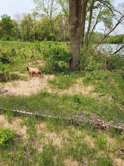 Southwest Dog Park - Eau Claire, WI