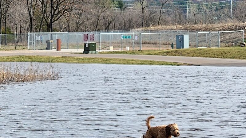 Southwest Dog Park - Eau Claire, WI