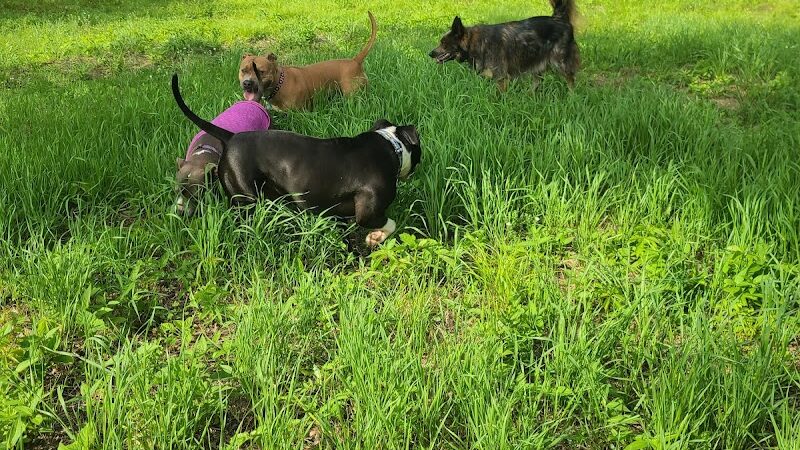 Southwest Dog Park - Eau Claire, WI