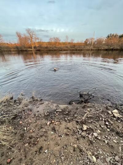 Southwest Dog Park - Eau Claire, WI