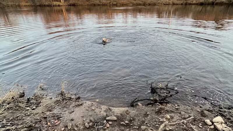 Southwest Dog Park - Eau Claire, WI