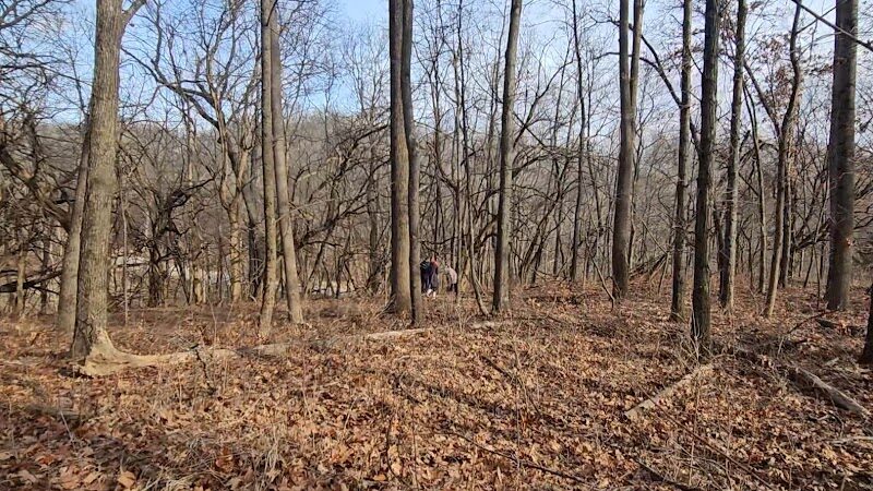 Sommer Park North - Edwards, IL