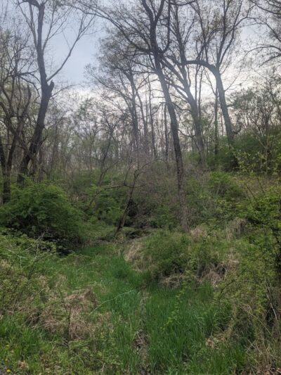 Sommer Park North - Edwards, IL