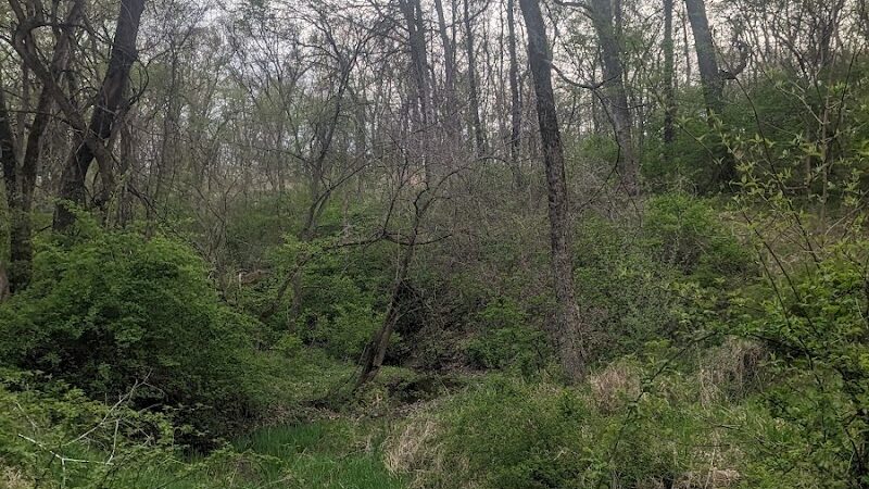 Sommer Park North - Edwards, IL