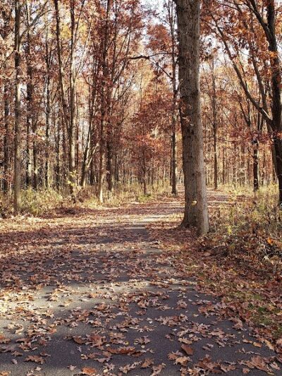 Sommer Park North - Edwards, IL