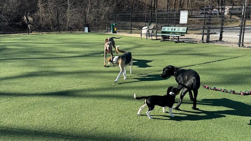 Brent Leh Dog Park - Edwardsville, IL