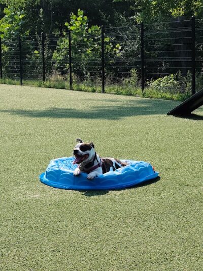 Brent Leh Dog Park - Edwardsville, IL