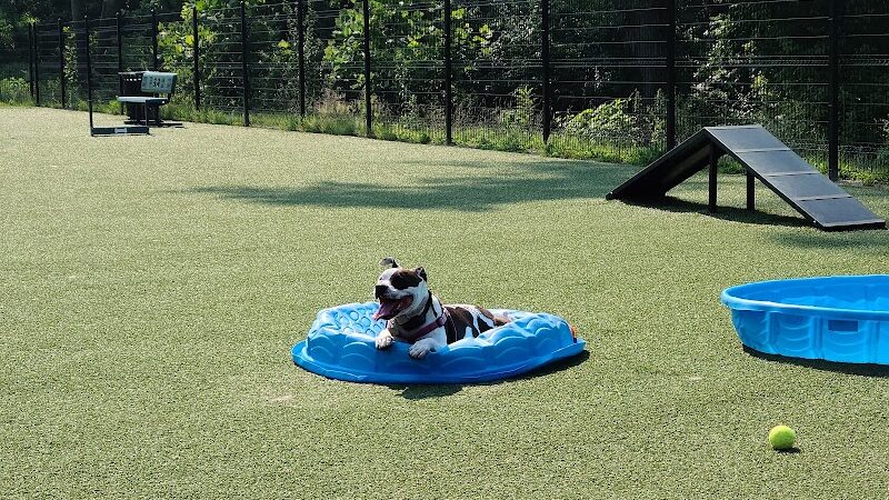Brent Leh Dog Park - Edwardsville, IL