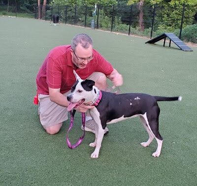 Brent Leh Dog Park - Edwardsville, IL
