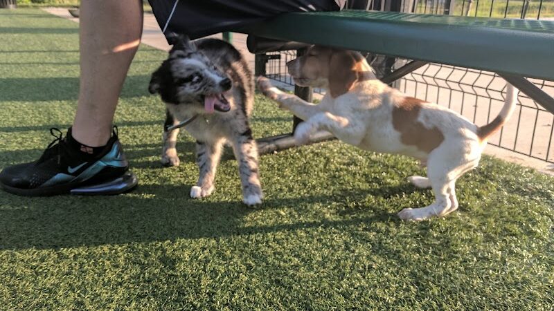 Brent Leh Dog Park - Edwardsville, IL