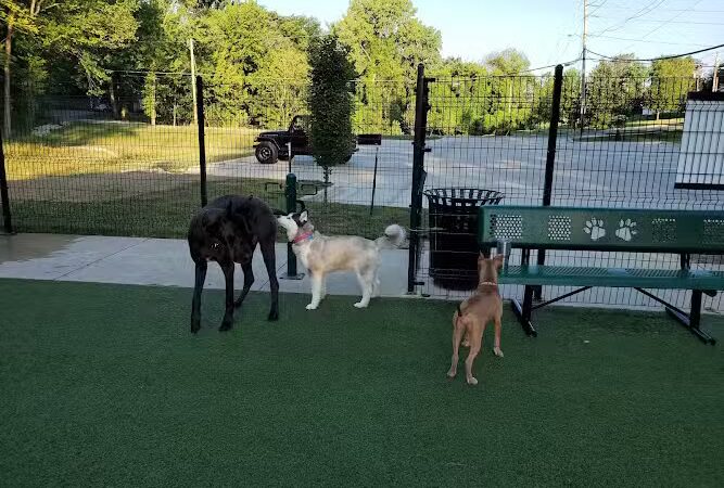 Brent Leh Dog Park - Edwardsville, IL