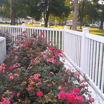 Bliss Park - Effingham, IL