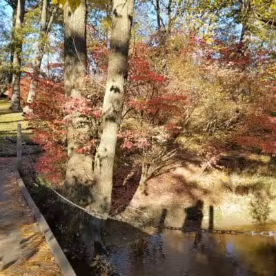Evergreen Hollow Park - Effingham, IL
