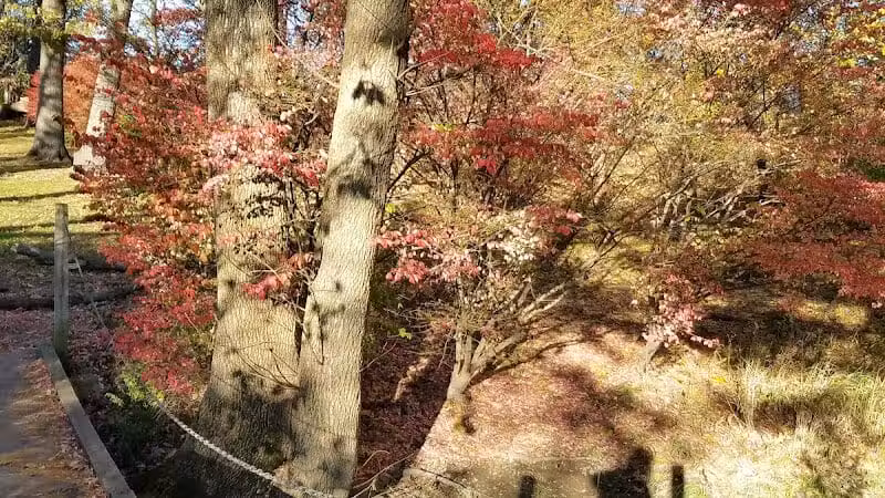 Evergreen Hollow Park - Effingham, IL