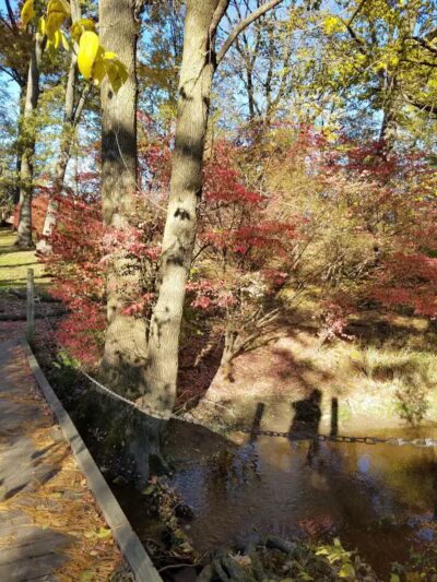 Evergreen Hollow Park - Effingham, IL