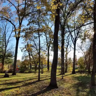 Evergreen Hollow Park - Effingham, IL