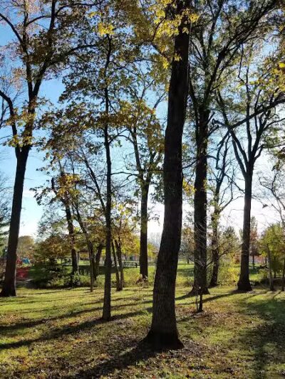 Evergreen Hollow Park - Effingham, IL