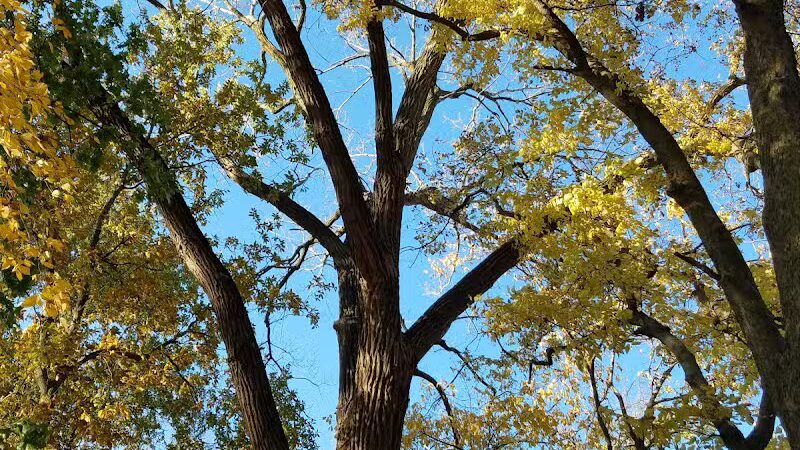 Evergreen Hollow Park - Effingham, IL