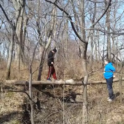 Evergreen Hollow Park - Effingham, IL
