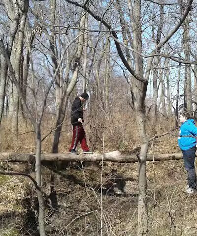 Evergreen Hollow Park - Effingham, IL