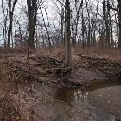 Evergreen Hollow Park - Effingham, IL